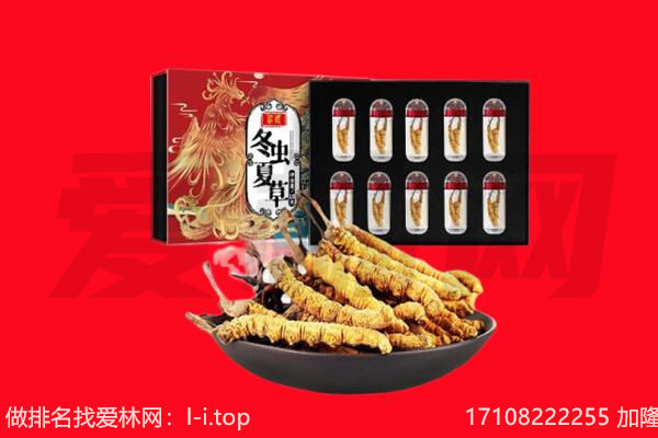 黑河回收虫草.jpg